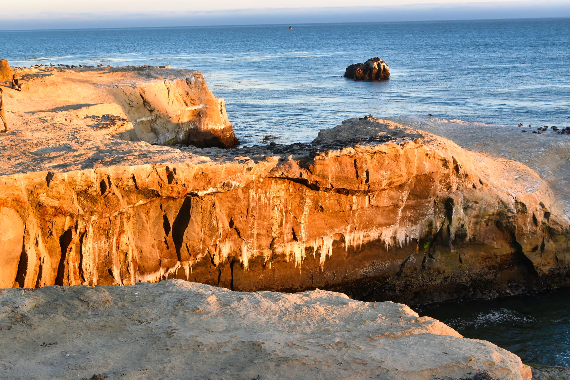 Golden hour light on layered sandstone cliffs along the Santa Cruz coastline