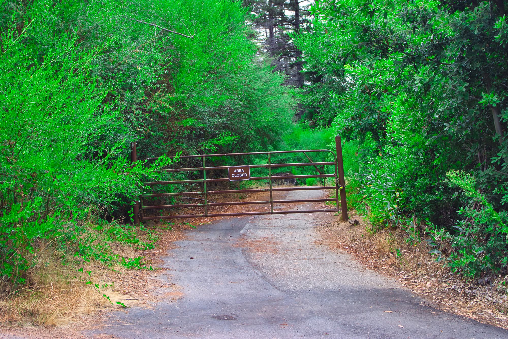 The gate at Little Basin in the Santa Cruz Mountains.